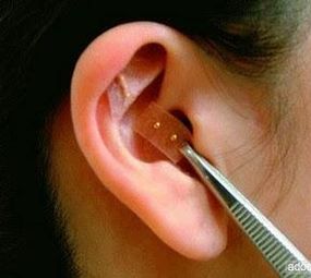 Flor de Lotus - Sala de Terapia photo 2