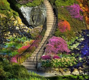 Jardinagem e Paisagismo São Pedro