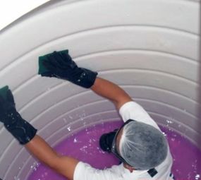 Inset Sul - Dedetizadora Região Metropolitana