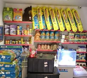 Lago Carpa - Lagos Ornamentais