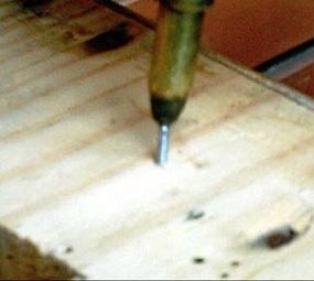 Dedetizadora Cupim photo 2