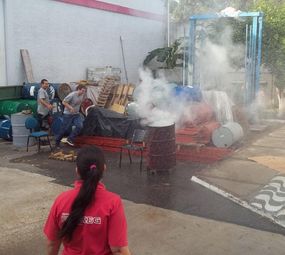 Fireseg - RS photo 4