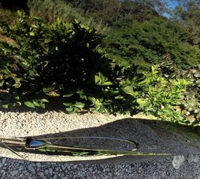 Beto Detailer Serviços e Treinamento