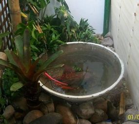 FMV Empreiteira e Mão de Obra photo 2