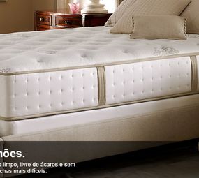 Clean House Sistemas de Higienização