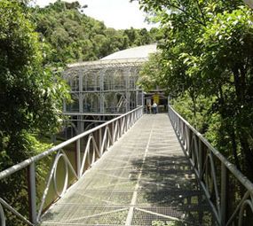 Ópera de Arame photo 2