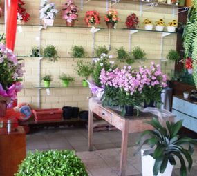 Adoro Flores Floricultura photo 2