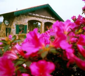 Pórtico (Entrada Via Nova Petrópolis) photo 1