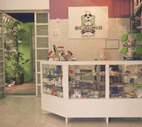 Bicho Grilo Pet Care - Clínica Veterinária photo 2