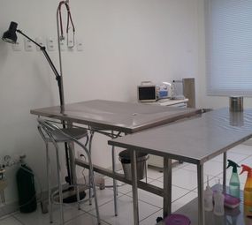 Clínica Veterinária Saúde Animal photo 2
