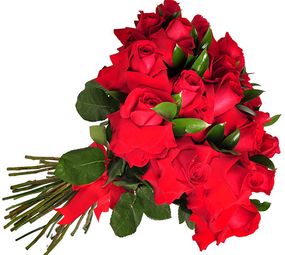 Confecção de Buquês de Rosas Floricultura Anie Flores, São José