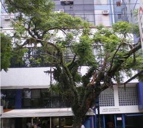 Clínica de Neurogeriatria e Alzheimer photo 1