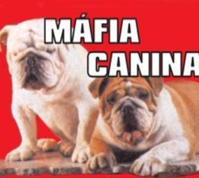 Máfia Canina Pet Shop photo 1