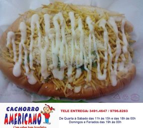 Cachorro Americano photo 1