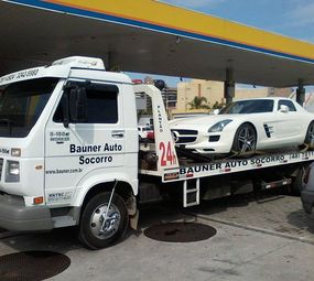 Transportadora Bauner  photo 1