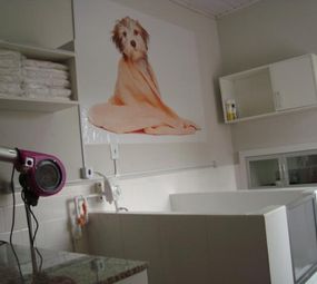 Noah Pet Spa photo 2