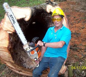  La Motta Plantio e Transplante de Árvores photo 2