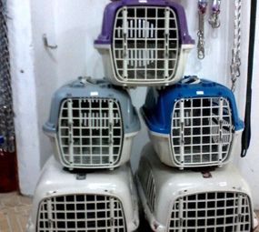 Agropecuária Rokaterres photo 5