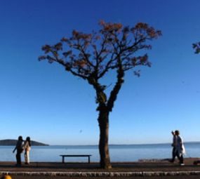 Calçadão de Ipanema photo 1