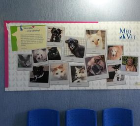 Clínica Veterinária MedVet photo 1