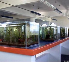 Museu de Ciências Naturais Ceclimar photo 2