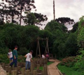 Bosque Reinhard Maack photo 1