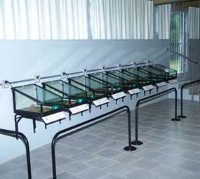 Museu de Ciências Naturais photo 2