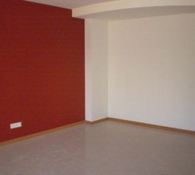 Albino Pinturas e Acabamentos photo 2