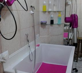 Pet Shop Meu Bixinho photo 2