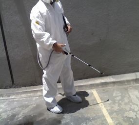 Dedetização e controle de pragas  Poa Jet Dedetizadora e Desentupidora