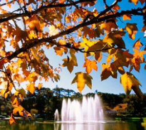 Lago Joaquina Rita Bier photo 1