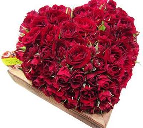 Arquitetura das Flores photo 1