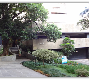 Rogéria Barroso Psicóloga