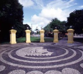 Bosque de Portugal photo 1