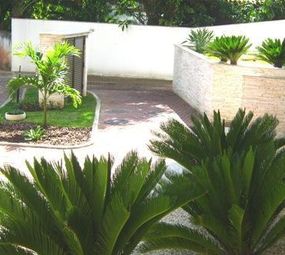 SNA Paisagismo photo 1