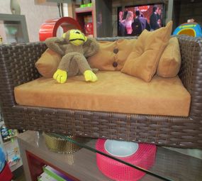 BIA TOMASONI PET STORE photo 1