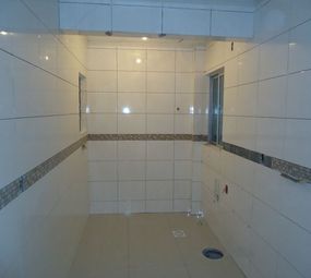 Luciano Azulegista e Reformas em Geral