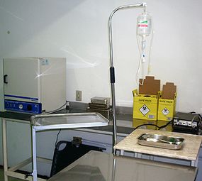 Fofos & Feras Clínica Veterinária photo 1