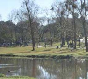 Parque Barigui photo 2