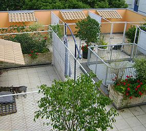 Animed Clínica Veterinária photo 2