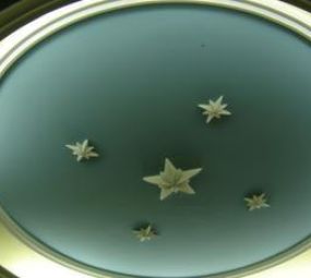 Cedro Gesso Artes e Decoração photo 1