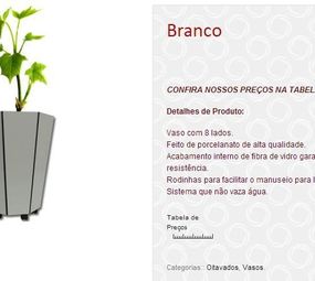 Vasos Porcelan photo 2