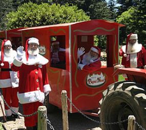 Parque Knorr - Aldeia do Papai Noel photo 1