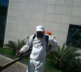 Dedetizadora Mata Tudo