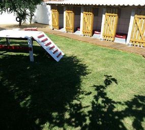 Dog Fun Espaço Canino photo 2