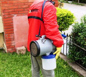 IMUNINSET DEDETIZADORA E DESCUPINIZADORA photo 1