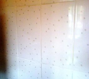 Rafael Reformas em Geral